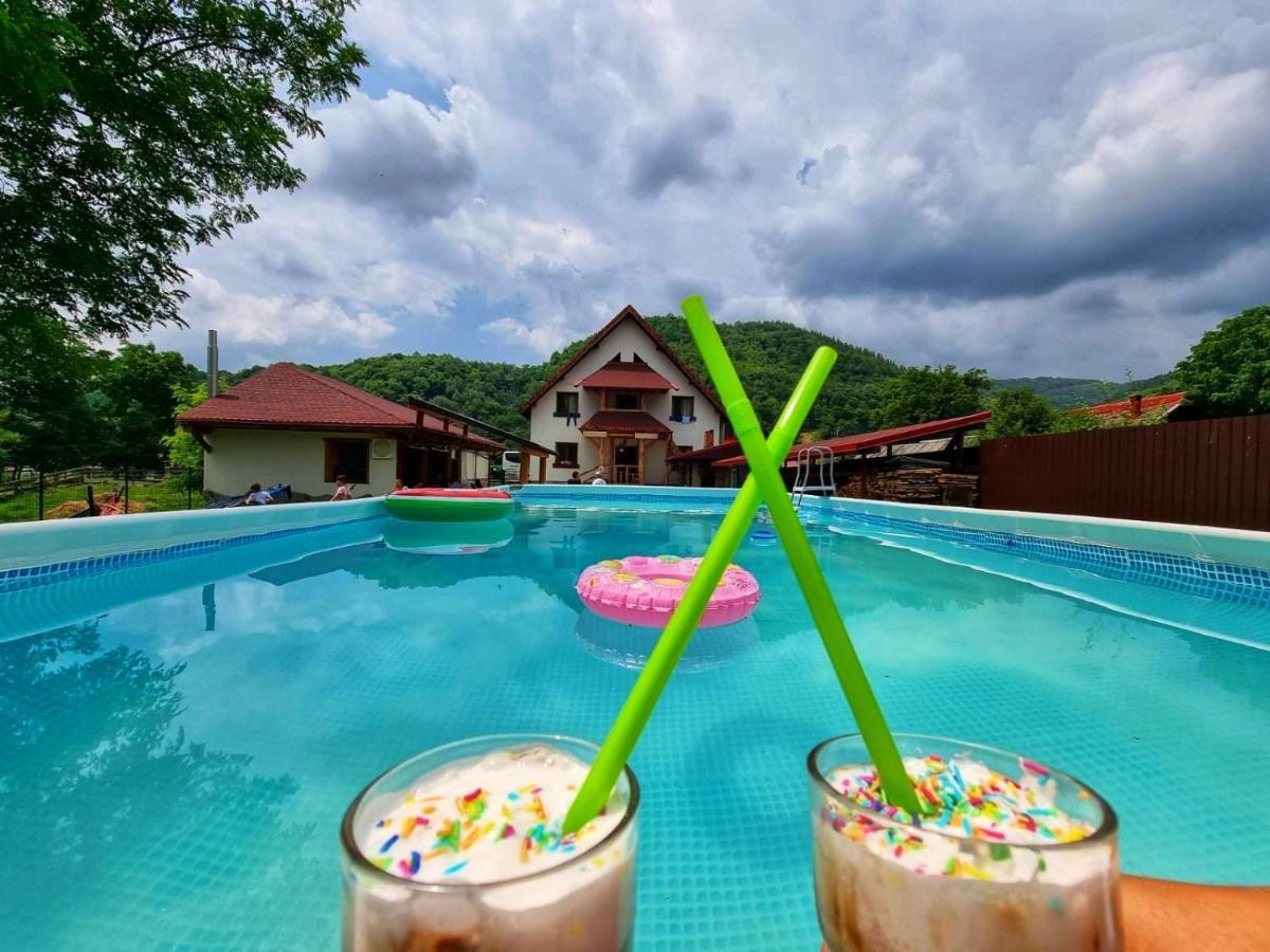 Villa Conacul De Sub Munte Novaci-Străini Exterior foto