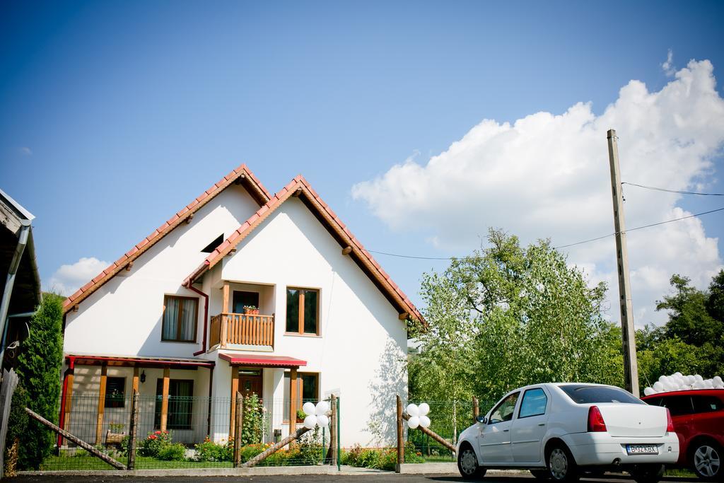 Villa Conacul De Sub Munte Novaci-Străini Exterior foto