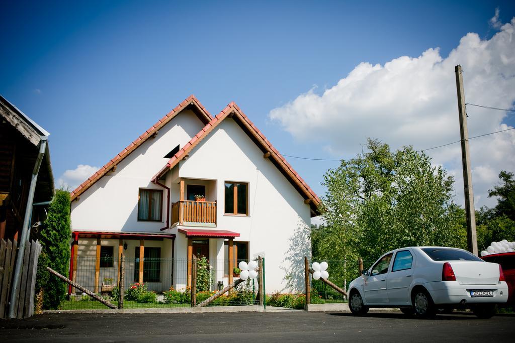 Villa Conacul De Sub Munte Novaci-Străini Exterior foto