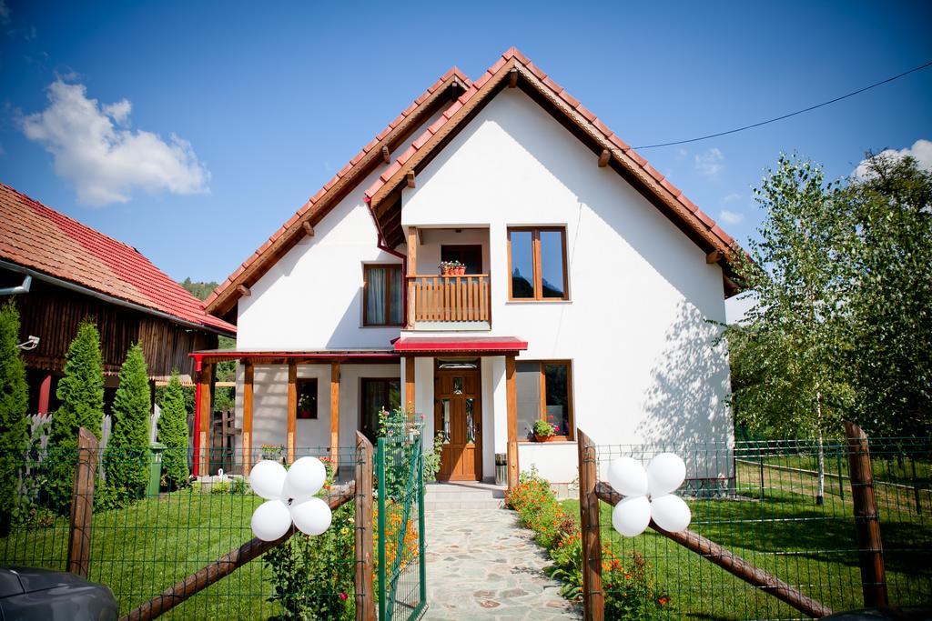 Villa Conacul De Sub Munte Novaci-Străini Exterior foto