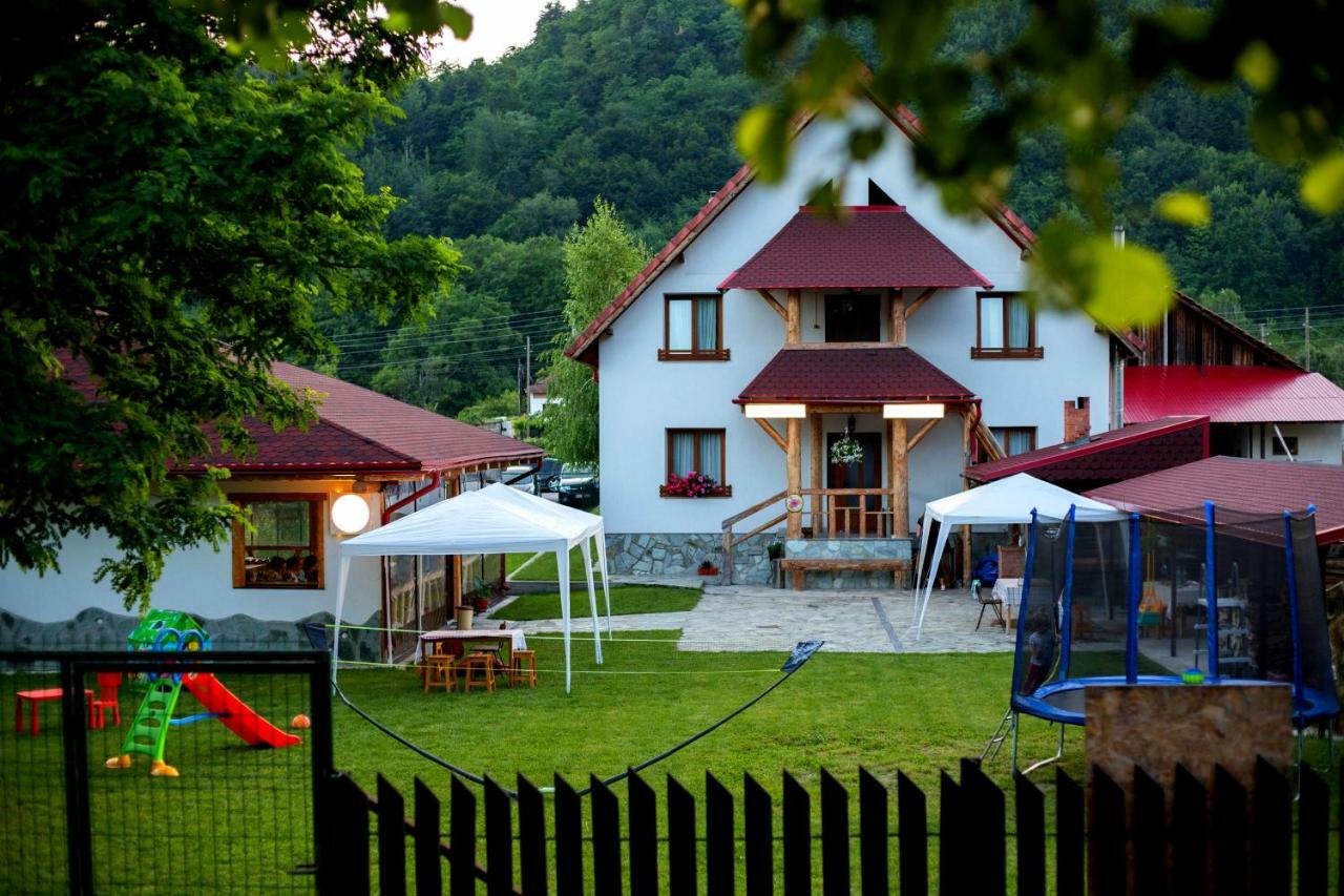 Villa Conacul De Sub Munte Novaci-Străini Exterior foto
